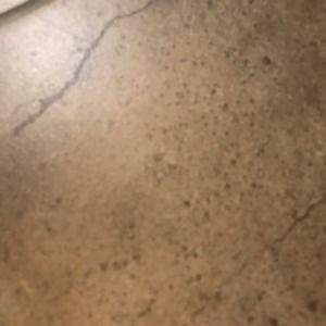 Meet your Posher, Mia